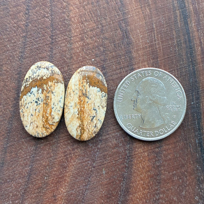 Picture Jasper - Cabochon Pair - Oval - Teardrop - Square - coffin