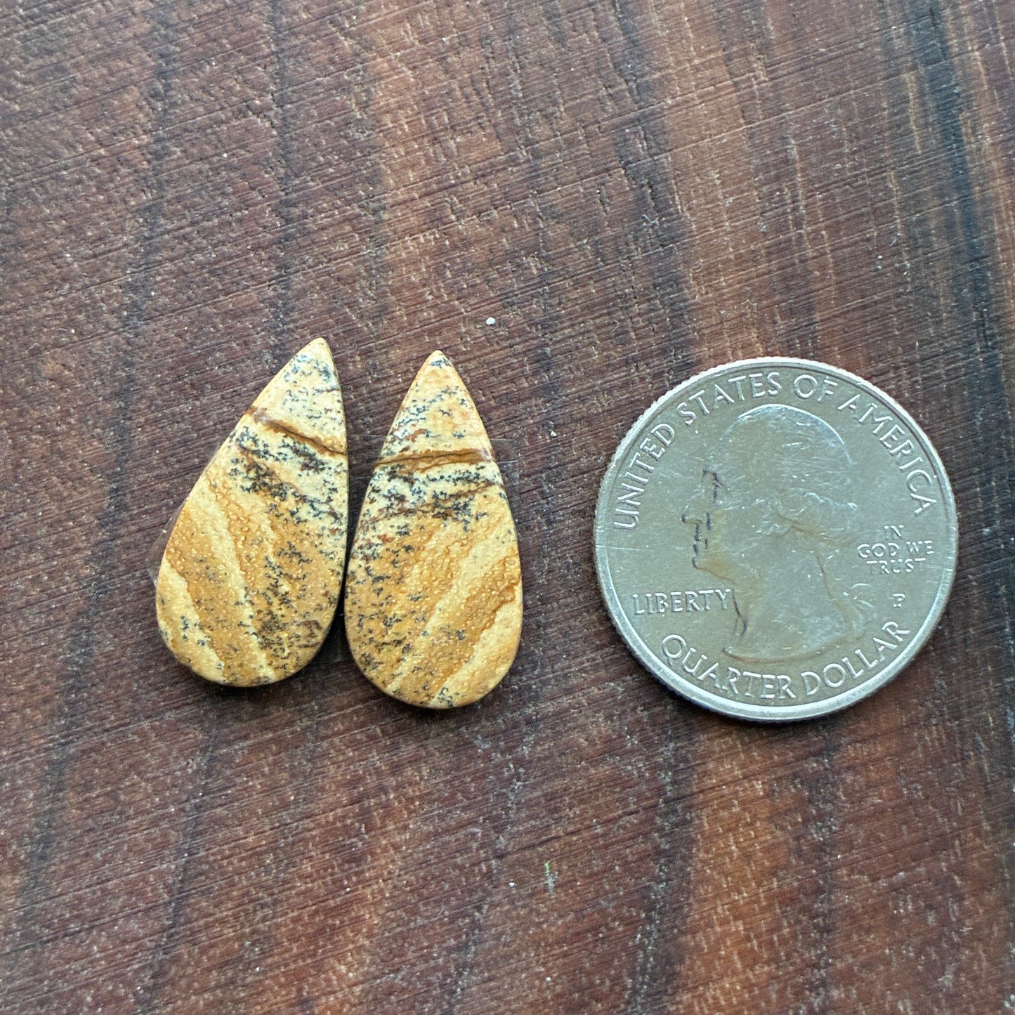 Picture Jasper - Cabochon Pair - Oval - Teardrop - Square - coffin