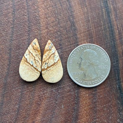 Picture Jasper - Cabochon Pair - Oval - Teardrop - Square - coffin