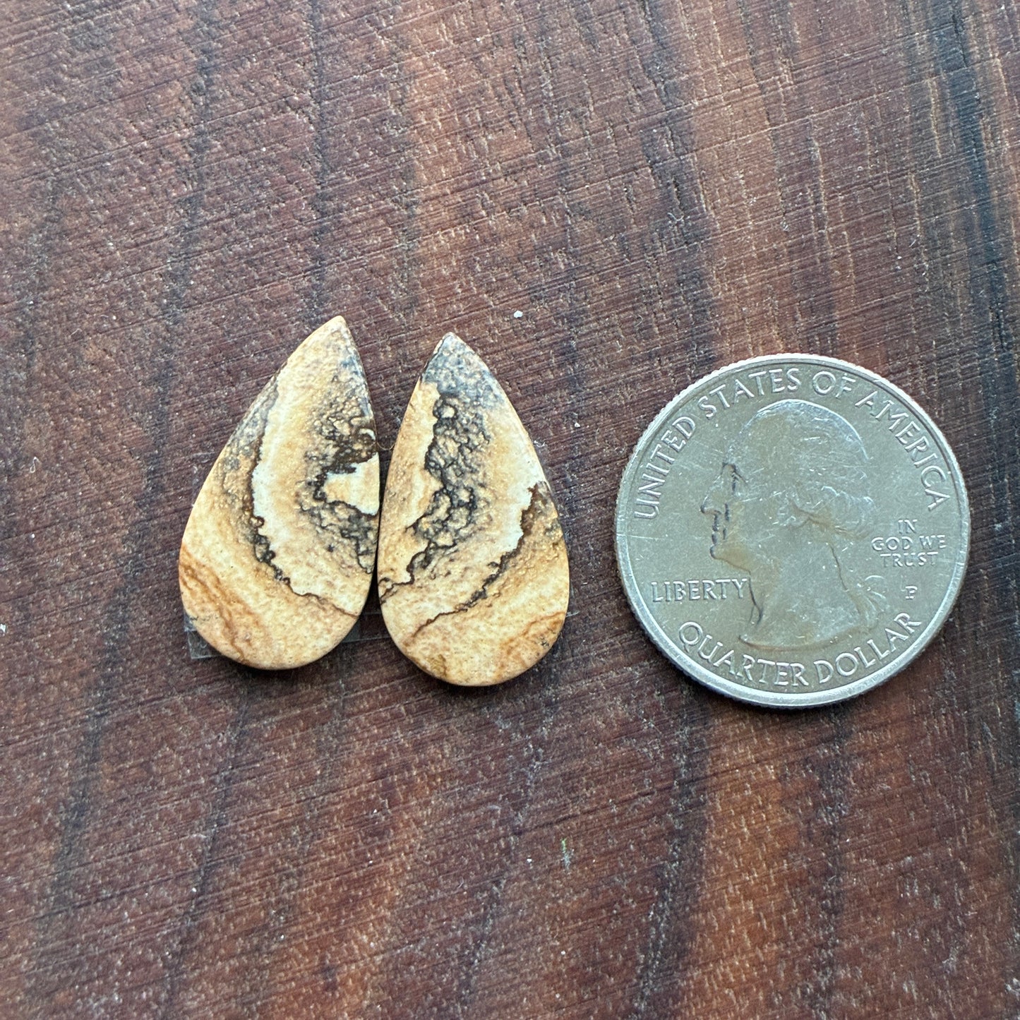 Picture Jasper - Cabochon Pair - Oval - Teardrop - Square - coffin