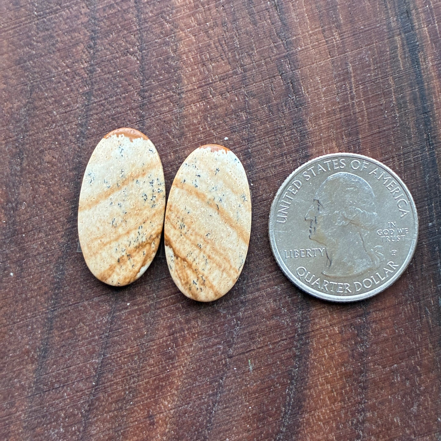 Picture Jasper - Cabochon Pair - Oval - Teardrop - Square - coffin