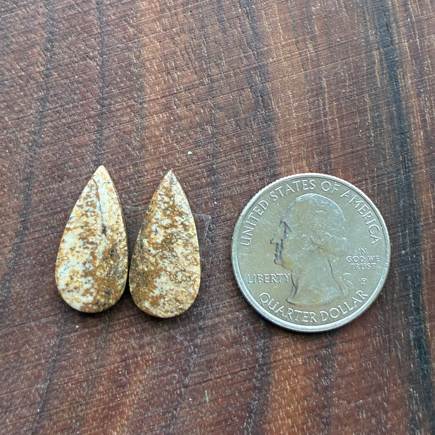 Picture Jasper - Cabochon Pair - Oval - Teardrop - Square - coffin