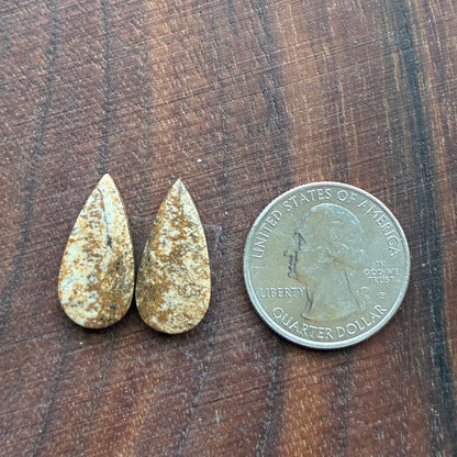 Picture Jasper - Cabochon Pair - Oval - Teardrop - Square - coffin