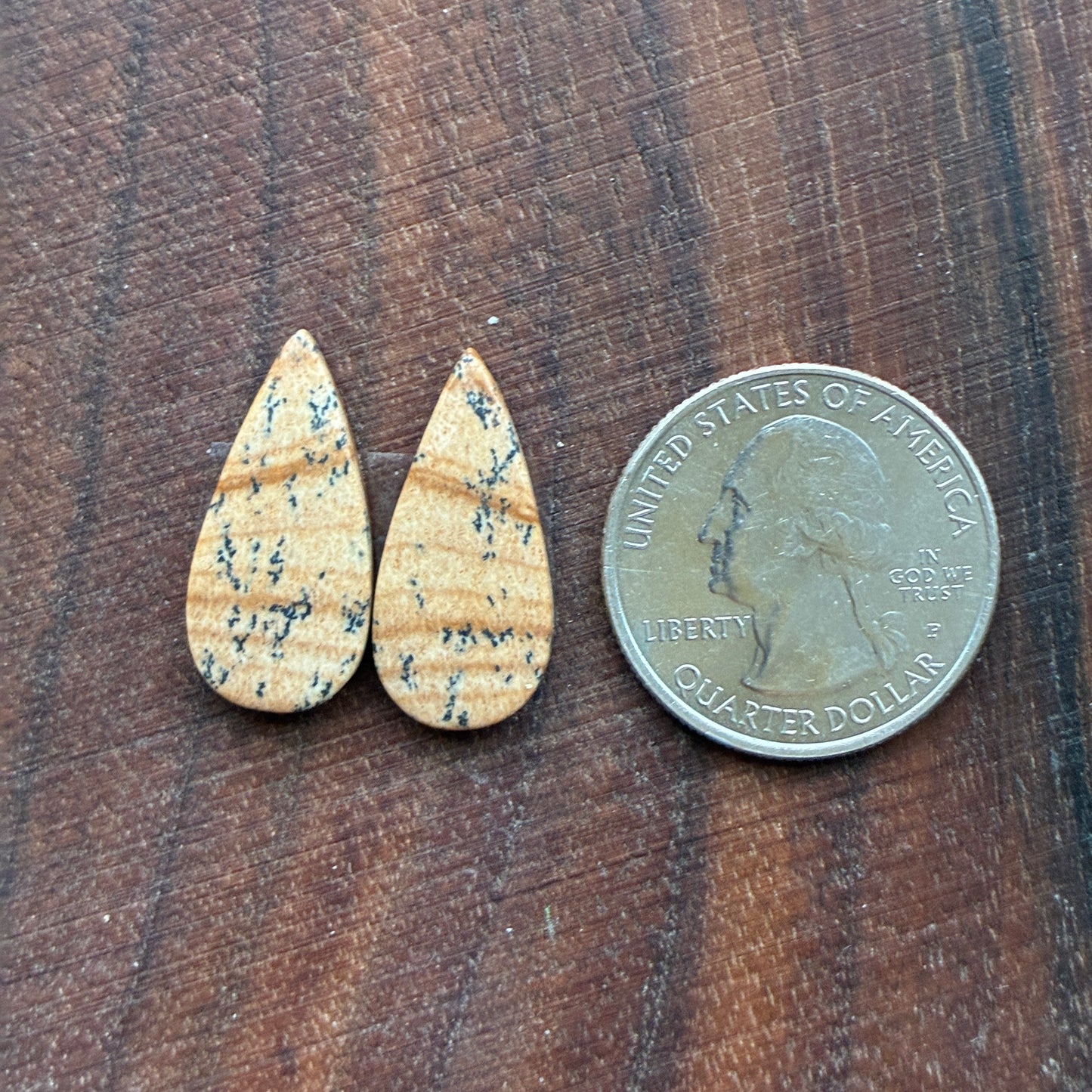 Picture Jasper - Cabochon Pair - Oval - Teardrop - Square - coffin
