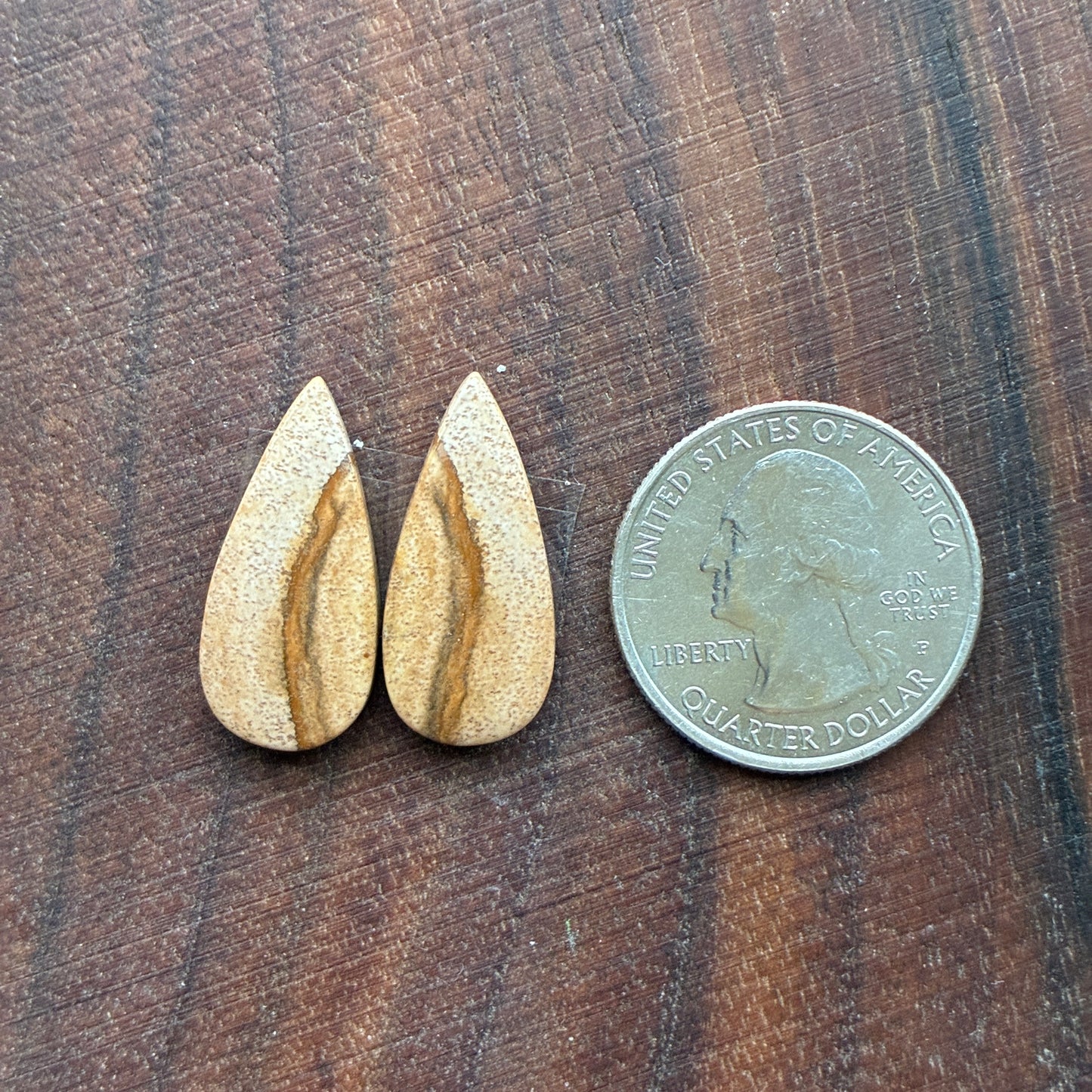 Picture Jasper - Cabochon Pair - Oval - Teardrop - Square - coffin