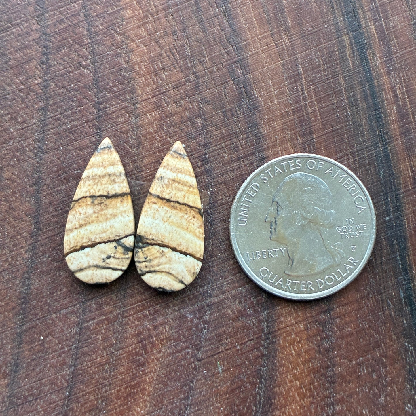 Picture Jasper - Cabochon Pair - Oval - Teardrop - Square - coffin