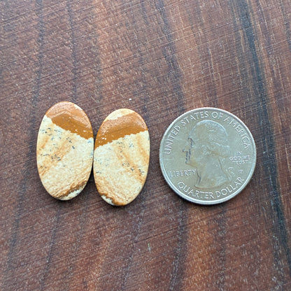 Picture Jasper - Cabochon Pair - Oval - Teardrop - Square - coffin