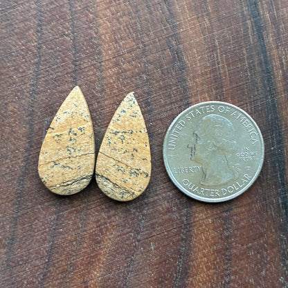 Picture Jasper - Cabochon Pair - Oval - Teardrop - Square - coffin