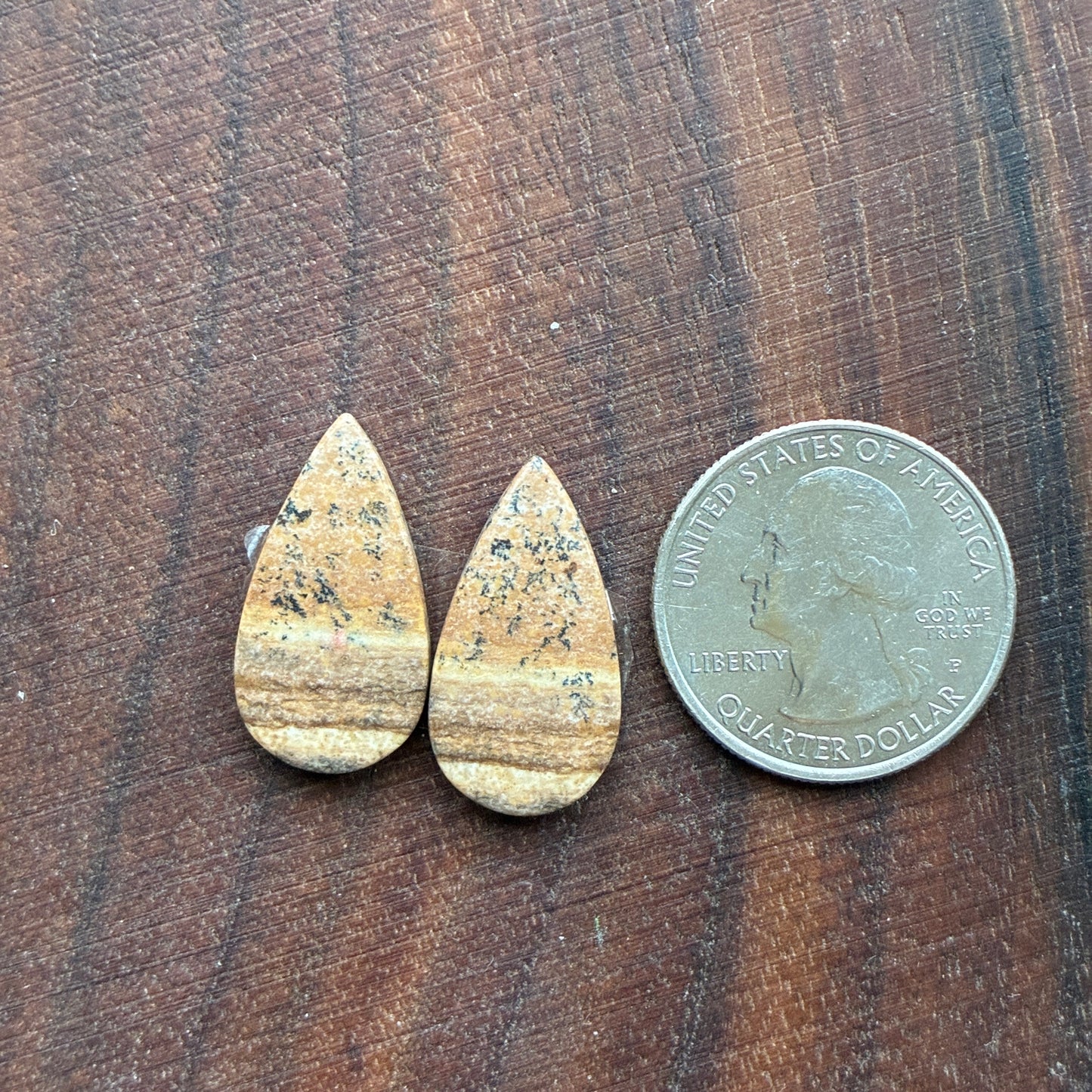 Picture Jasper - Cabochon Pair - Oval - Teardrop - Square - coffin
