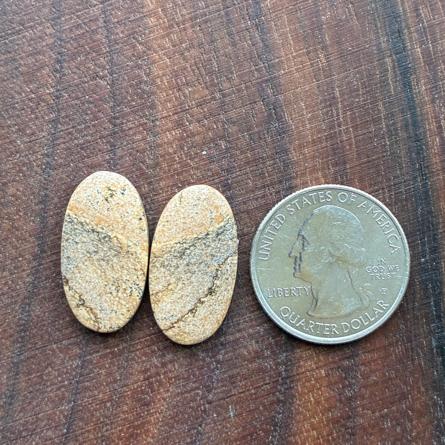 Picture Jasper - Cabochon Pair - Oval - Teardrop - Square - coffin