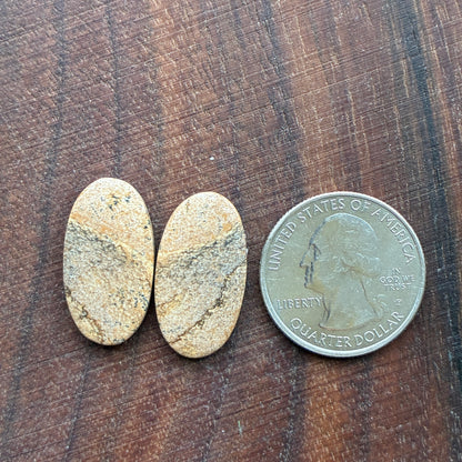 Picture Jasper - Cabochon Pair - Oval - Teardrop - Square - coffin