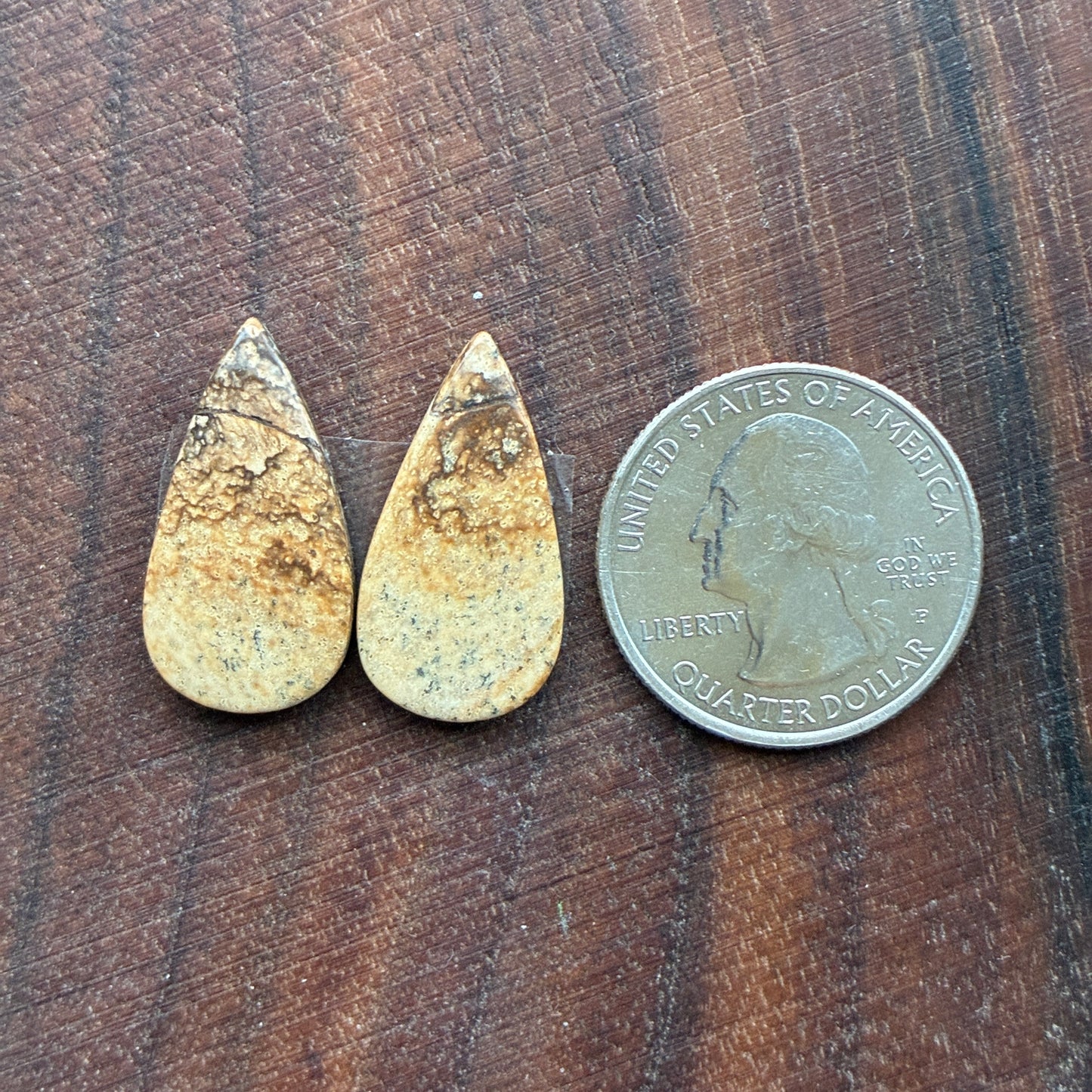 Picture Jasper - Cabochon Pair - Oval - Teardrop - Square - coffin