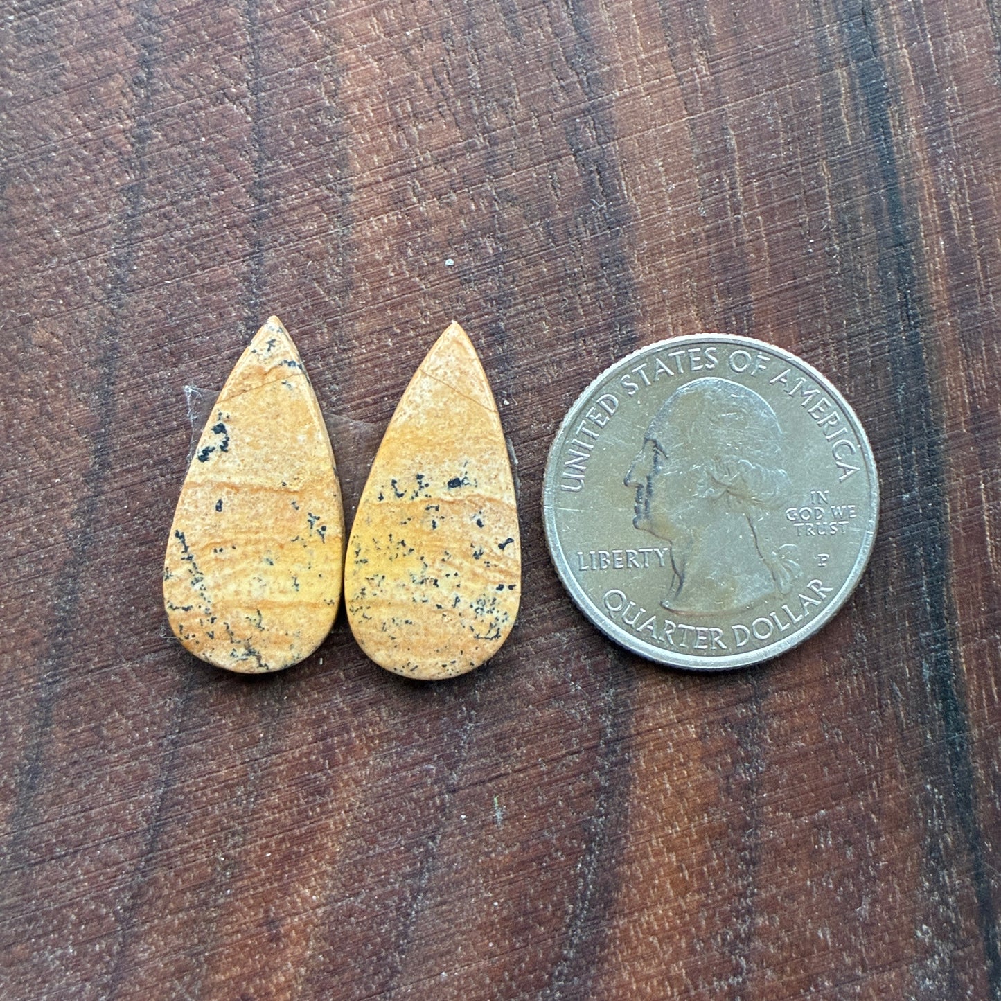 Picture Jasper - Cabochon Pair - Oval - Teardrop - Square - coffin