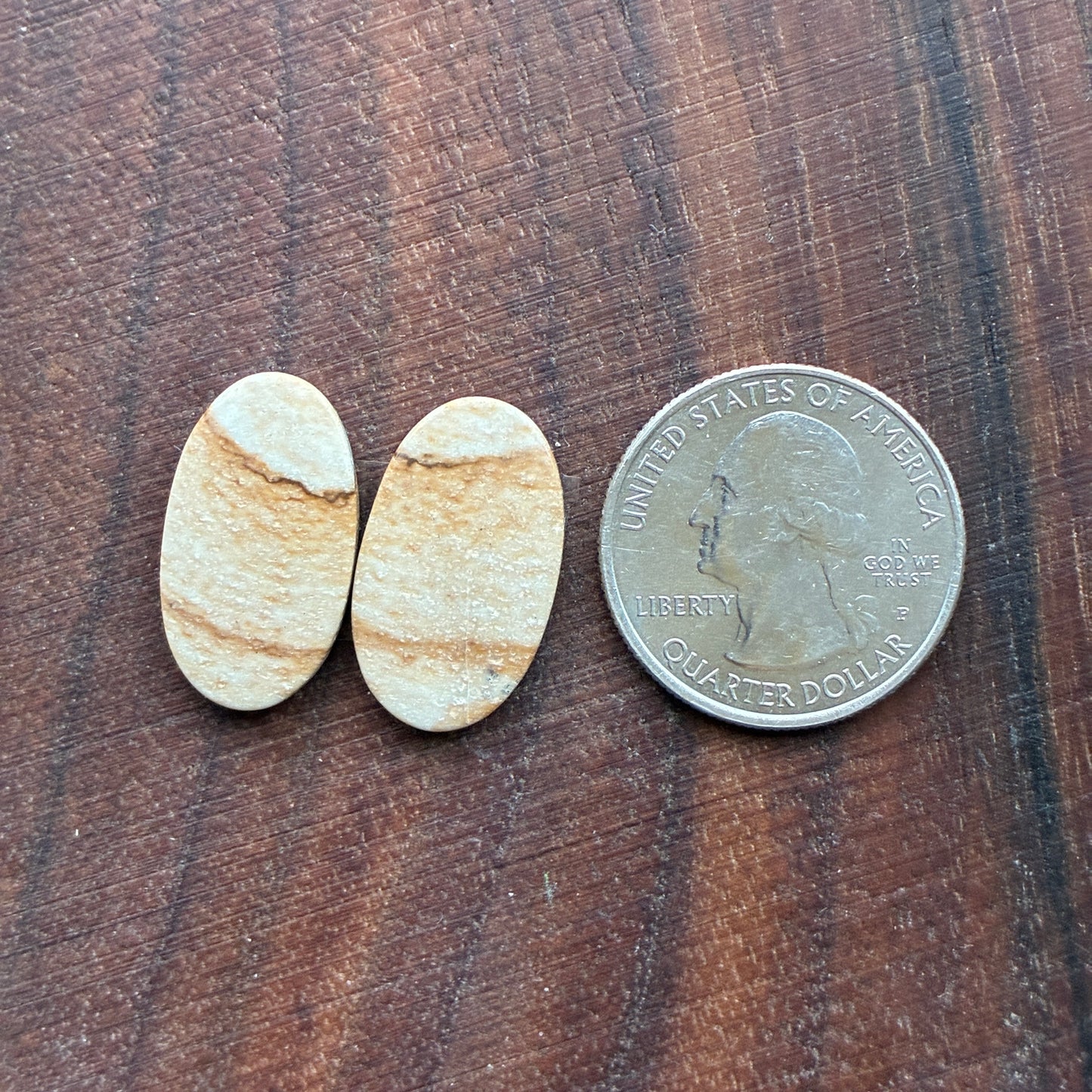 Picture Jasper - Cabochon Pair - Oval - Teardrop - Square - coffin