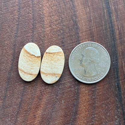 Picture Jasper - Cabochon Pair - Oval - Teardrop - Square - coffin