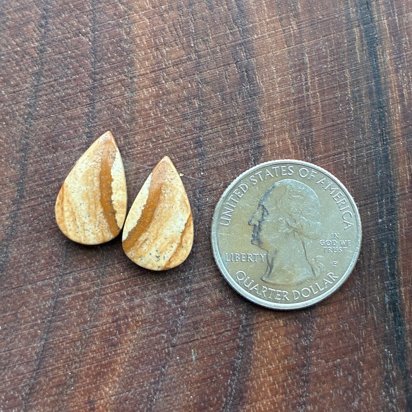 Picture Jasper - Cabochon Pair - Oval - Teardrop - Square - coffin