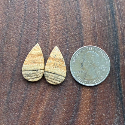 Picture Jasper - Cabochon Pair - Oval - Teardrop - Square - coffin