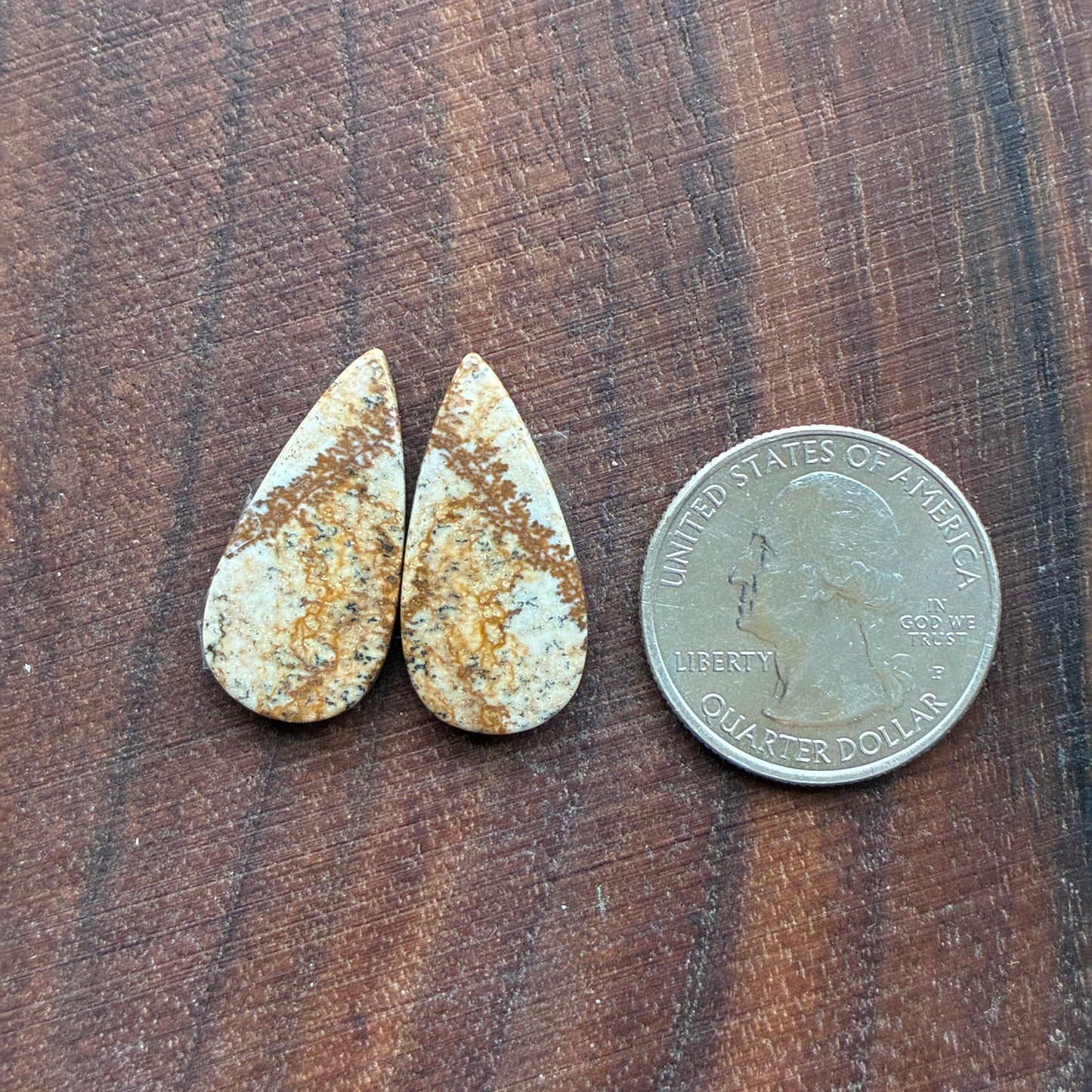 Picture Jasper - Cabochon Pair - Oval - Teardrop - Square - coffin