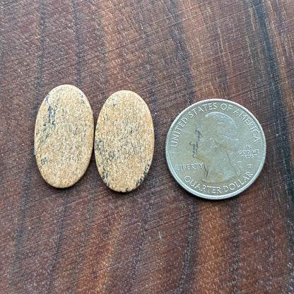 Picture Jasper - Cabochon Pair - Oval - Teardrop - Square - coffin