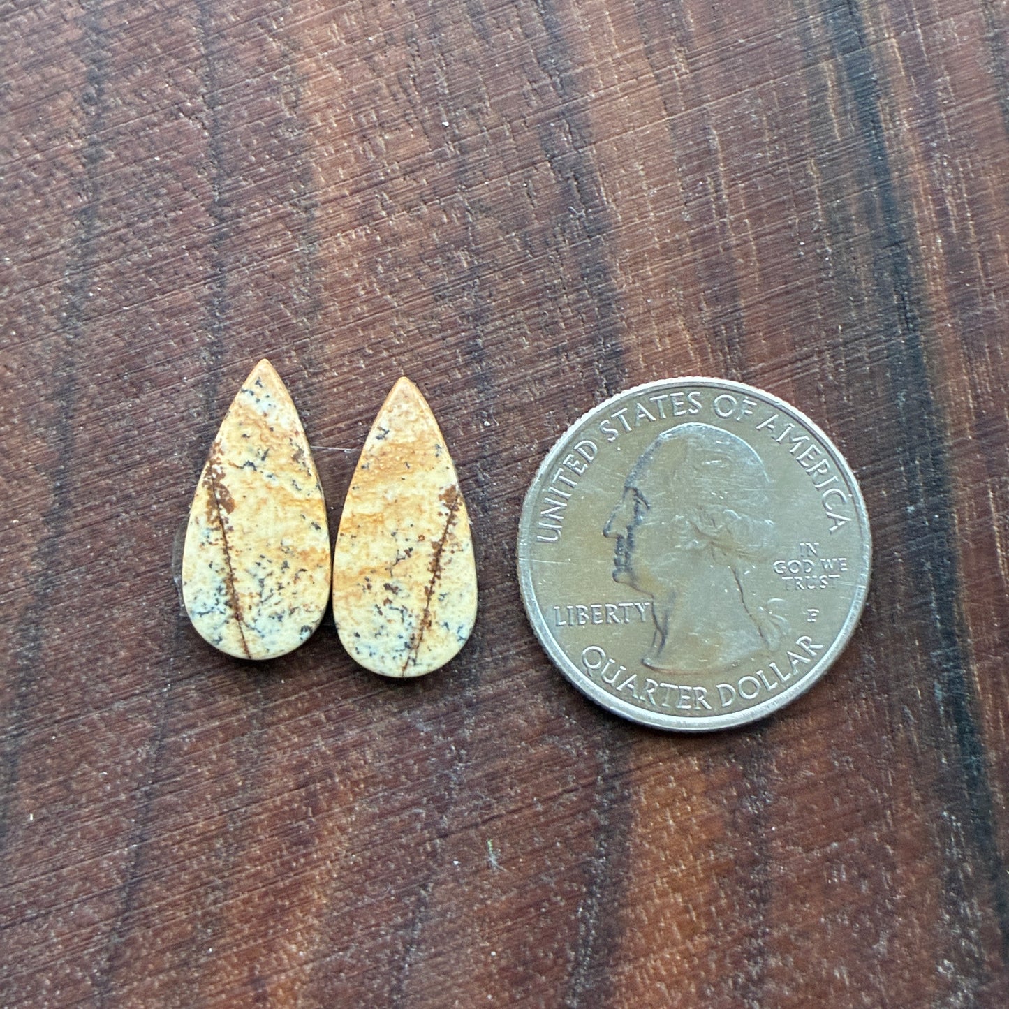 Picture Jasper - Cabochon Pair - Oval - Teardrop - Square - coffin