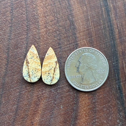 Picture Jasper - Cabochon Pair - Oval - Teardrop - Square - coffin