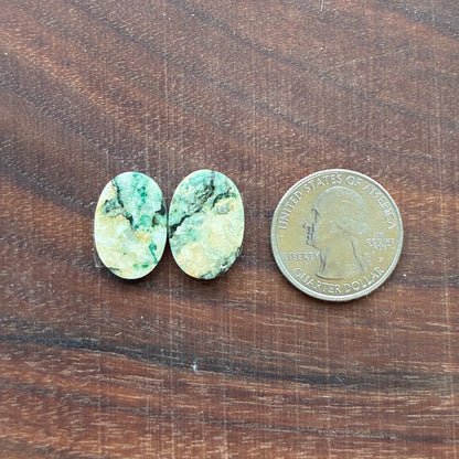 Mariposite - Cabochon Pair - Oval - Teardrop
