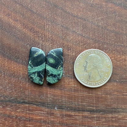 Kambaba Jasper - Cabochon Pair - Oval - Coffin - Rectangle - Teardrop - Round