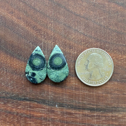 Kambaba Jasper - Cabochon Pair - Oval - Coffin - Rectangle - Teardrop - Round