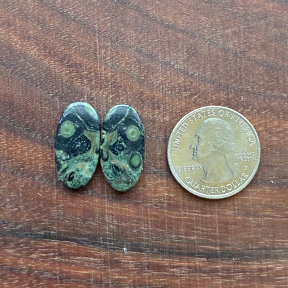 Kambaba Jasper - Cabochon Pair - Oval - Coffin - Rectangle - Teardrop - Round