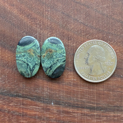 Kambaba Jasper - Cabochon Pair - Oval - Coffin - Rectangle - Teardrop - Round