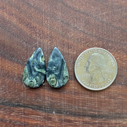 Kambaba Jasper - Cabochon Pair - Oval - Coffin - Rectangle - Teardrop - Round