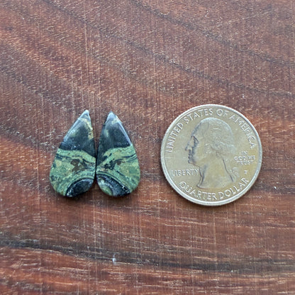 Kambaba Jasper - Cabochon Pair - Oval - Coffin - Rectangle - Teardrop - Round
