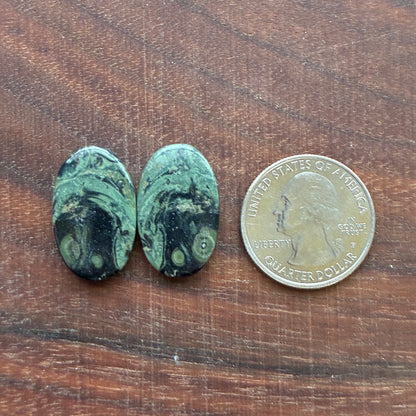 Kambaba Jasper - Cabochon Pair - Oval - Coffin - Rectangle - Teardrop - Round
