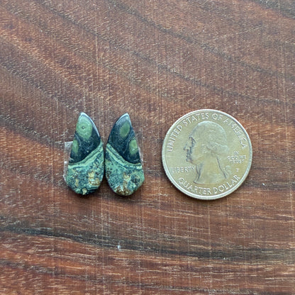 Kambaba Jasper - Cabochon Pair - Oval - Coffin - Rectangle - Teardrop - Round