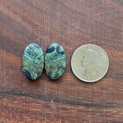 Kambaba Jasper - Cabochon Pair - Oval - Coffin - Rectangle - Teardrop - Round