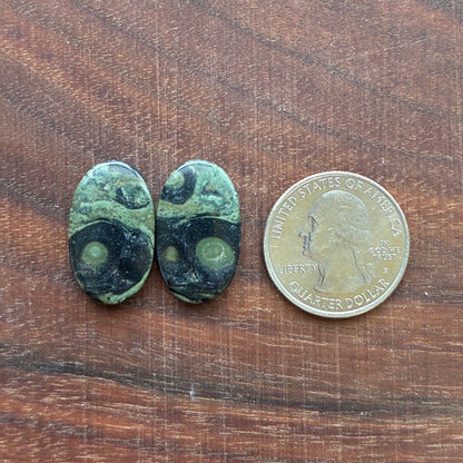 Kambaba Jasper - Cabochon Pair - Oval - Coffin - Rectangle - Teardrop - Round