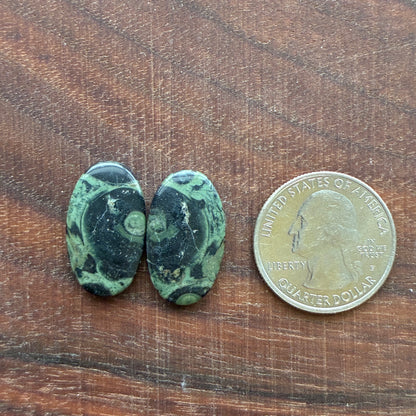 Kambaba Jasper - Cabochon Pair - Oval - Coffin - Rectangle - Teardrop - Round