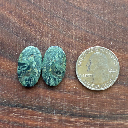 Kambaba Jasper - Cabochon Pair - Oval - Coffin - Rectangle - Teardrop - Round