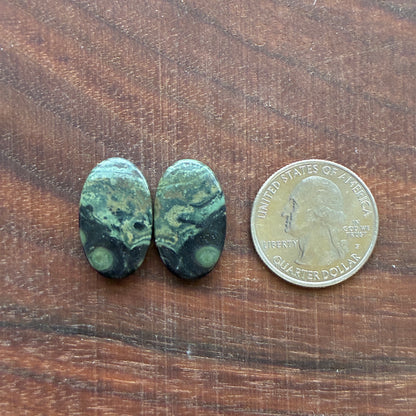 Kambaba Jasper - Cabochon Pair - Oval - Coffin - Rectangle - Teardrop - Round