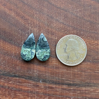 Kambaba Jasper - Cabochon Pair - Oval - Coffin - Rectangle - Teardrop - Round