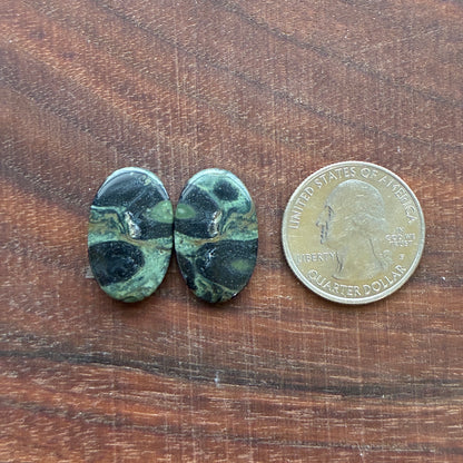 Kambaba Jasper - Cabochon Pair - Oval - Coffin - Rectangle - Teardrop - Round