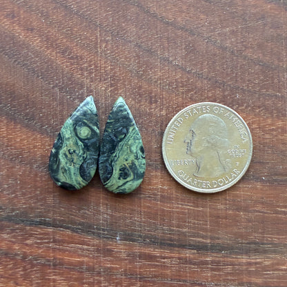 Kambaba Jasper - Cabochon Pair - Oval - Coffin - Rectangle - Teardrop - Round
