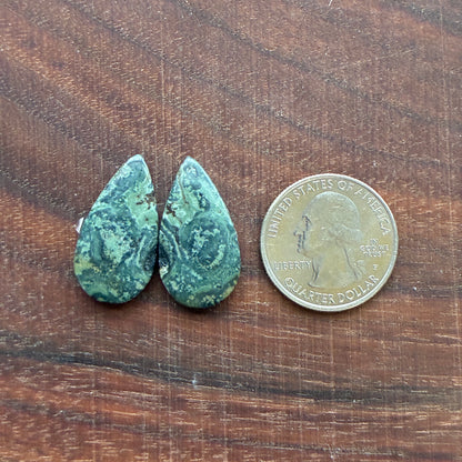 Kambaba Jasper - Cabochon Pair - Oval - Coffin - Rectangle - Teardrop - Round