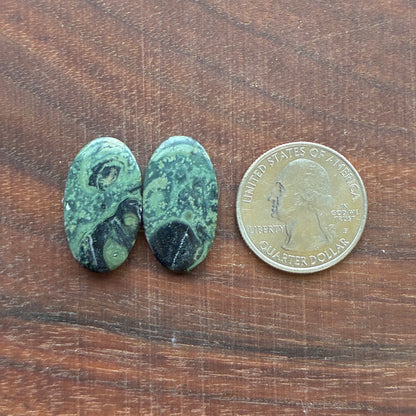 Kambaba Jasper - Cabochon Pair - Oval - Coffin - Rectangle - Teardrop - Round