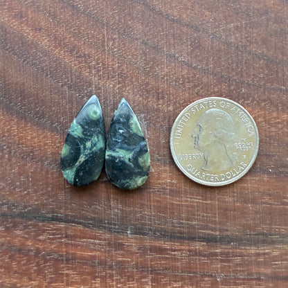 Kambaba Jasper - Cabochon Pair - Oval - Coffin - Rectangle - Teardrop - Round