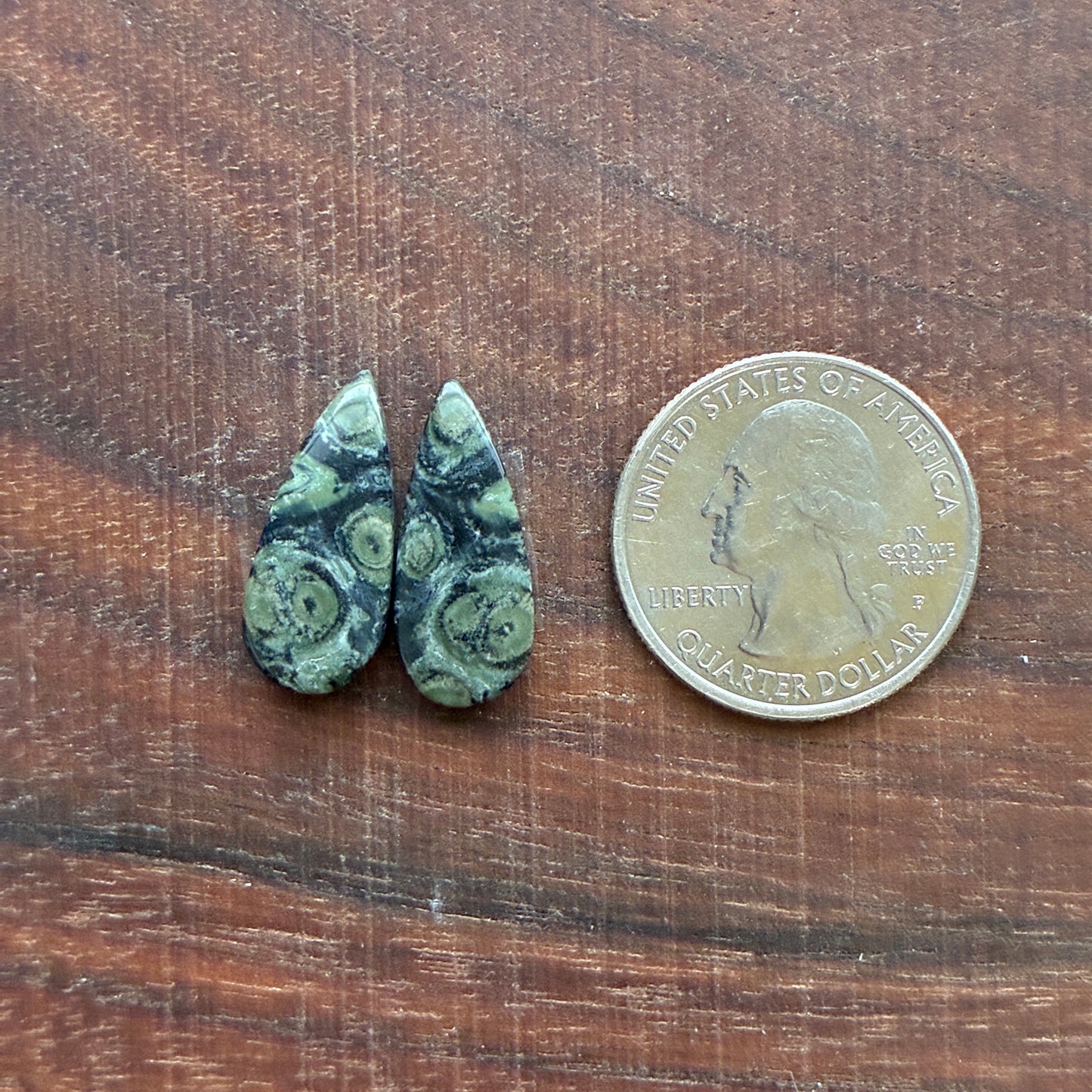 Kambaba Jasper - Cabochon Pair - Oval - Coffin - Rectangle - Teardrop - Round