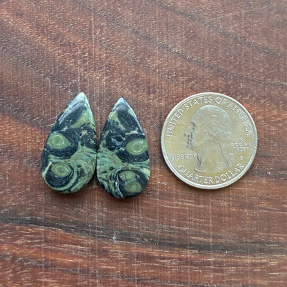 Kambaba Jasper - Cabochon Pair - Oval - Coffin - Rectangle - Teardrop - Round