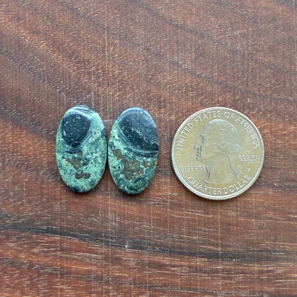 Kambaba Jasper - Cabochon Pair - Oval - Coffin - Rectangle - Teardrop - Round