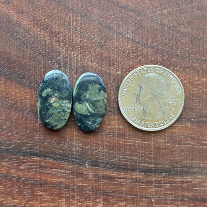 Kambaba Jasper - Cabochon Pair - Oval - Coffin - Rectangle - Teardrop - Round