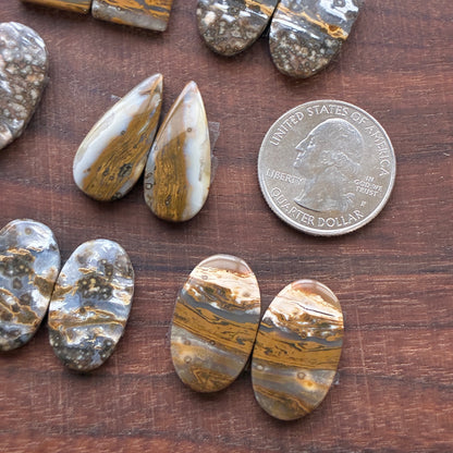 Ocean Jasper - Cabochon Pair - Oval - Teardrop - Rectangle